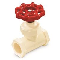 CPVC Globe Valve, 1/2in.