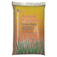 annual rye grass seed, 10 lb   