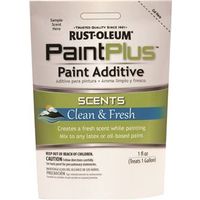 Paint Plus 262231 Sand Texture Additive