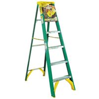Werner 5906 Single Sided Step Ladder