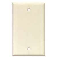 6326219 - 1G WHT STD BLANK PLATE
