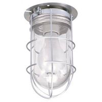 vaportight light with wire guard 