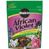 6348361 - 8QT AFRICAN VIOLET MIX