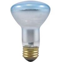 spot-gro plant bulb