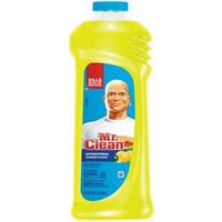 6369714 - 24OZ MR CLEAN SUMMER CITRUS