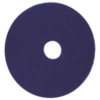 6419303 - 20" BLUE CLEANER PAD