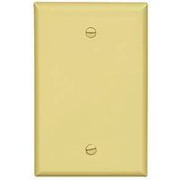 6459663 - 1G IVORY BOX MOUNT BLANK PLATE
