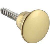 Ornamental Cabinet Knob, Brass