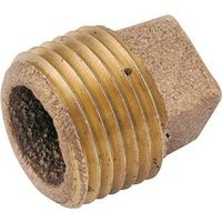 brass plug, 2in.   