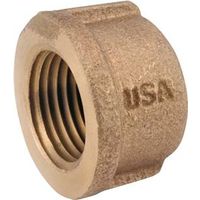 2in. ipt brass cap        