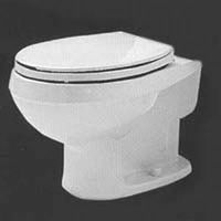 Deluxe Radcliffe Elongated Bowl