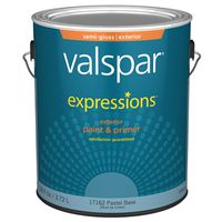Expressions 17162 Latex Paint