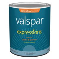 Expressions 17164 Latex Paint