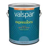 Expressions 17164 Latex Paint