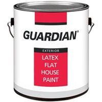 exterior latex house paint, 1 gal flat clear base