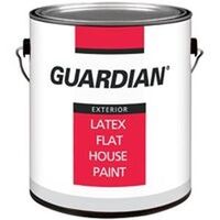 Exterior Latex House Paint, 1 Gal Flat Clear Base