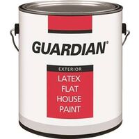 Exterior Latex Paint, 1 Gal Tint Base