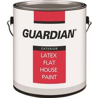 exterior latex paint, 1 gal pastel base