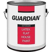 Exterior Latex Paint, 1 Gal Pastel Base