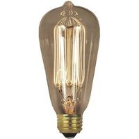 Feit BP60ST19 Dimmable Vintage Incandescent Lamp