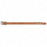 Dog Collar, Tan 1" x 20"