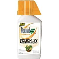 Brush Killer 27% Concentrate, 1 Qt