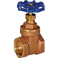 Brass Gate Valve, 1/2in.