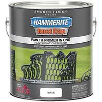 Hammertite Smooth Paint, White