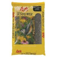 black oil sunflower seed 50 lb 