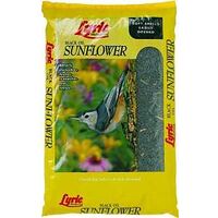 Black Oil Sunflower Seed 50 lb 