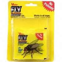 fly magnet trap bait     
