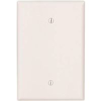 6640536 - 1G JUMBO WHITE BLANK PLATE