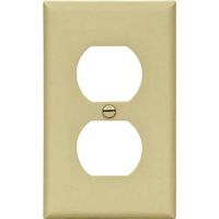 6730147 - 1G IVORY DUPLEX PLATE