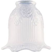 Clear & Frosted Glass Light Globe