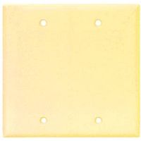 6744130 - 2G STD IVORY BLANK PLATE