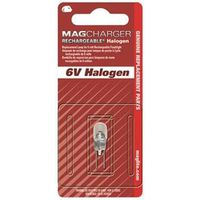 6764823 - REPLACEMENT HLGN BULB