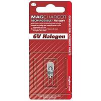 replacement halogen bulb