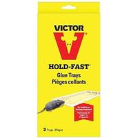 victor rat glue trap
