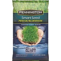 Pennington Seed 100086834 Grass Seed