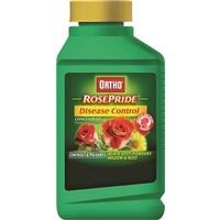 rose disease control, 16 oz