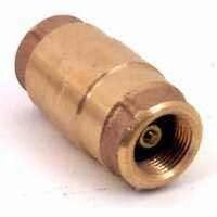 Check Valve, 2"          