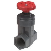 Ips Sxs Pvc Gate Valves, 1/2in.  