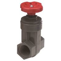 6844880 - 1-1/2IPS SXS GATE VALVE