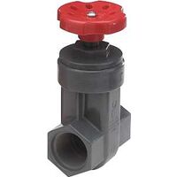 Ips Sxs Pvc Gate Valves, 1 1/2in. 