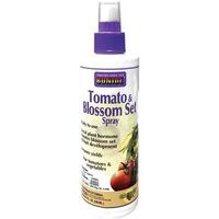 6846679 - 8OZ TOMATO/BLOSSOM SET