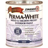 6885438 - WHT EXT MILDEW PROOF PAINT
