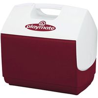6887319 - PRSNL SIZE PLAYMATE ICE CHEST