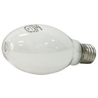 6904940 - 175W MERCURY VAPOR BULB MOGUL