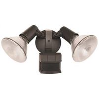 motion light dtector, bronze