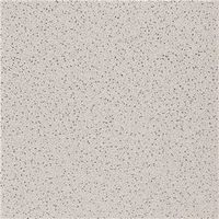 6938799 - 2X2X5/8RADAR SLT CEILING PANEL